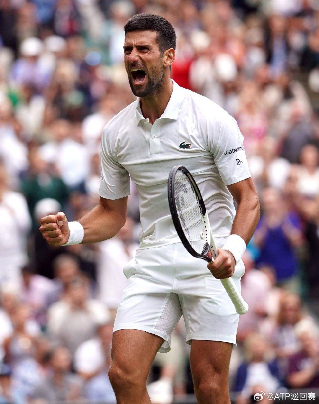 戈贝尔的困 戈贝尔的困